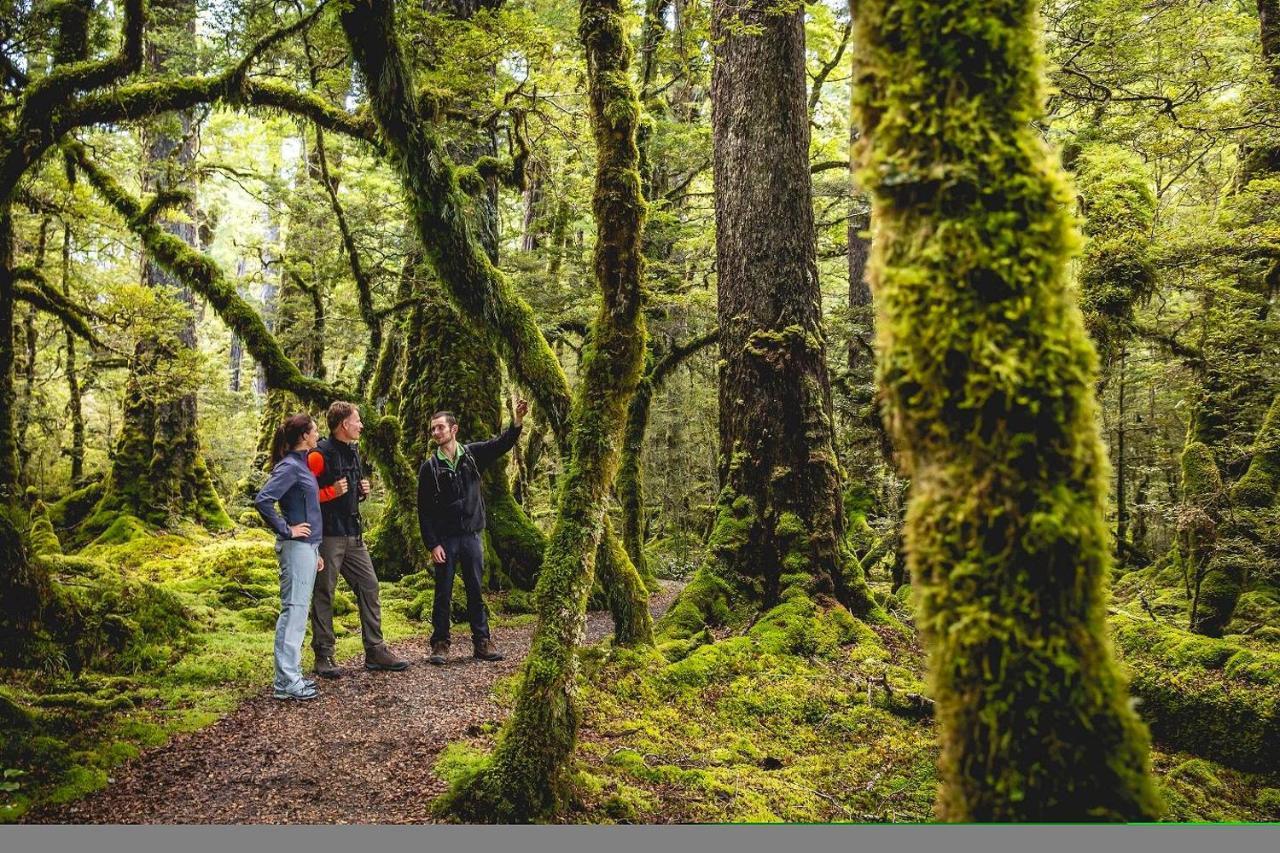 Fiordland Lodge Те-Анау Екстер'єр фото